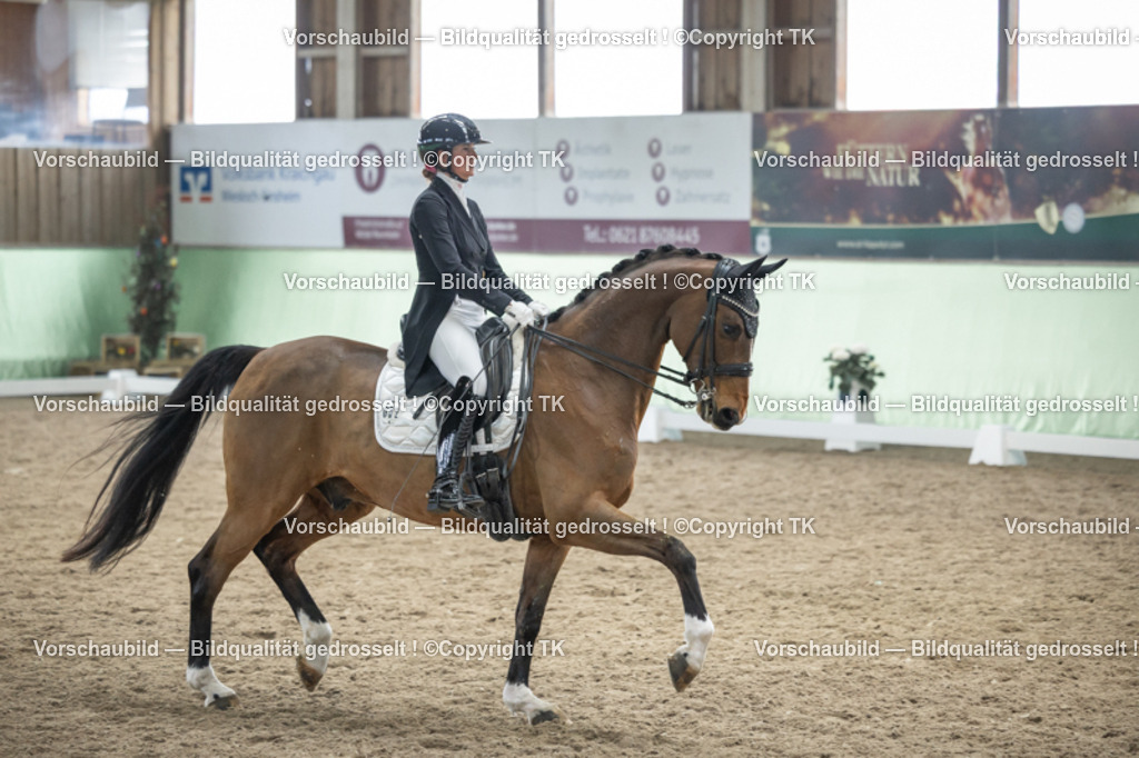 _D5A6184 | Emotionale Pferde- & People-Fotografie rund um Heidelberg, Leimen & Umgebung. Natürliche Fotos von Pferd, Mensch & Familie. Jetzt Termin sichern!