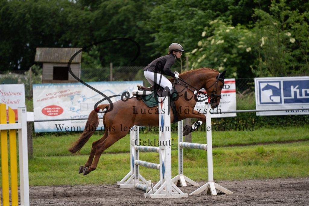 A7V04088 | Pferdefotograf