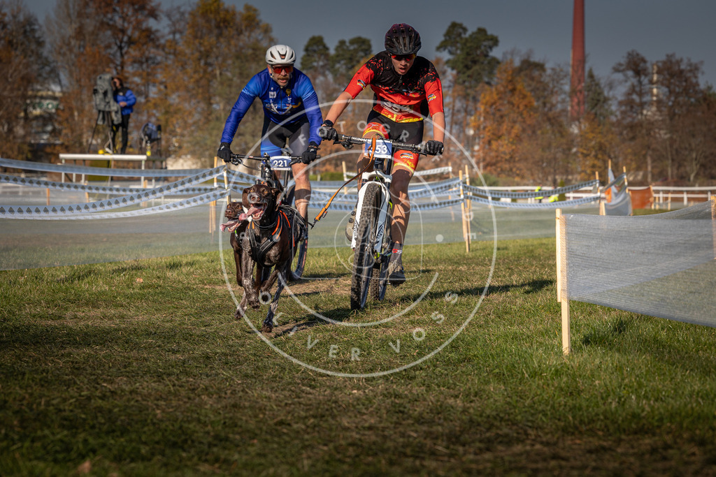 CaniXpix_0L8A6483 | Hundefotografie, Tierfotograf, Pfotenfotografie, Fotoshooting Hund, Hunde Portrait, Hundesport, Hundeportraits, Heideshooting, Hunde, Sportfotograf, Hundefotograf, Turnierhundsport, THS,  - Realisiert mit Pictrs.com