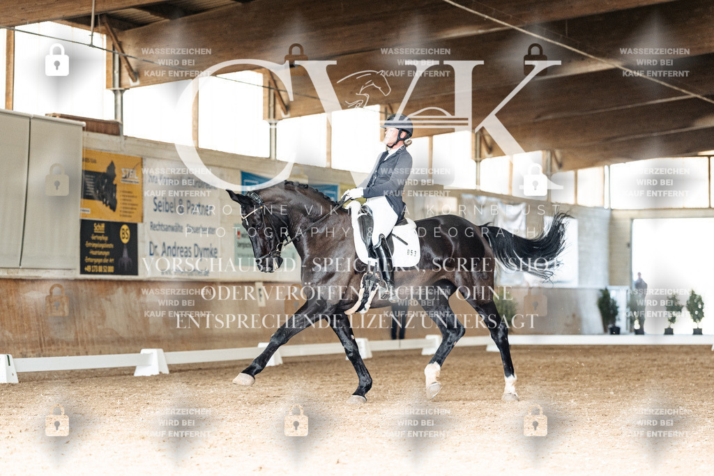 CK902205 | Turnierfotografie Pferdefotografie Trier Rheinland-Pfalz Pferdesport Reitsport Tierfotografie Sportfotografie Pferdevideo Pferdevideografie Equestrianvideography equestrianphotography  - Realisiert mit Pictrs.com