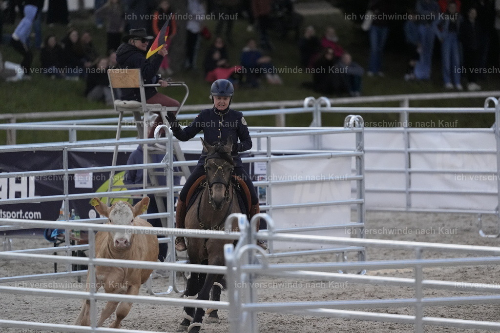 PI26_COW_Stoibphotography_DSC5545.JPG | working equitationturnier fotograf videograf stoibphotography marixx film working equitation deutschland reitsport turnierfotografie eventfotografie equestrian events