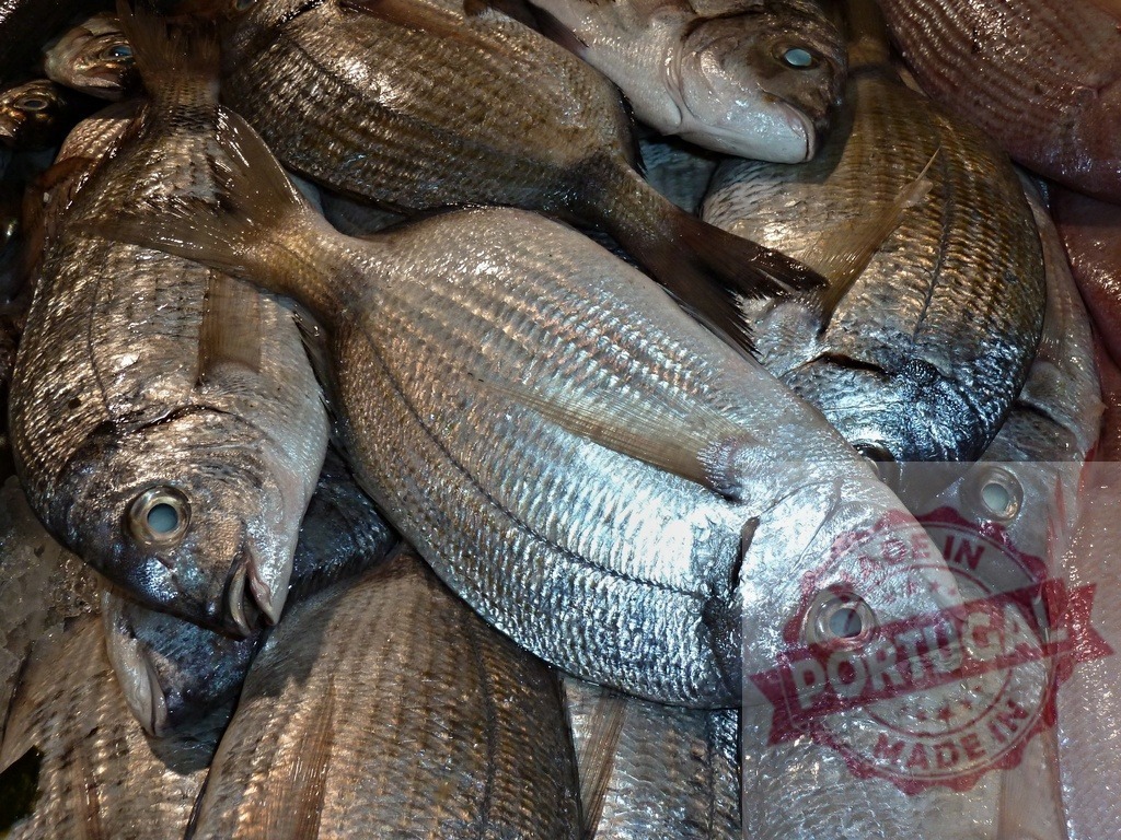 Fresh fish heap displaying silver seafood on market stall | Freshly caught fish piled together, their scales shimmering in a market setting - Realisiert mit Pictrs.com