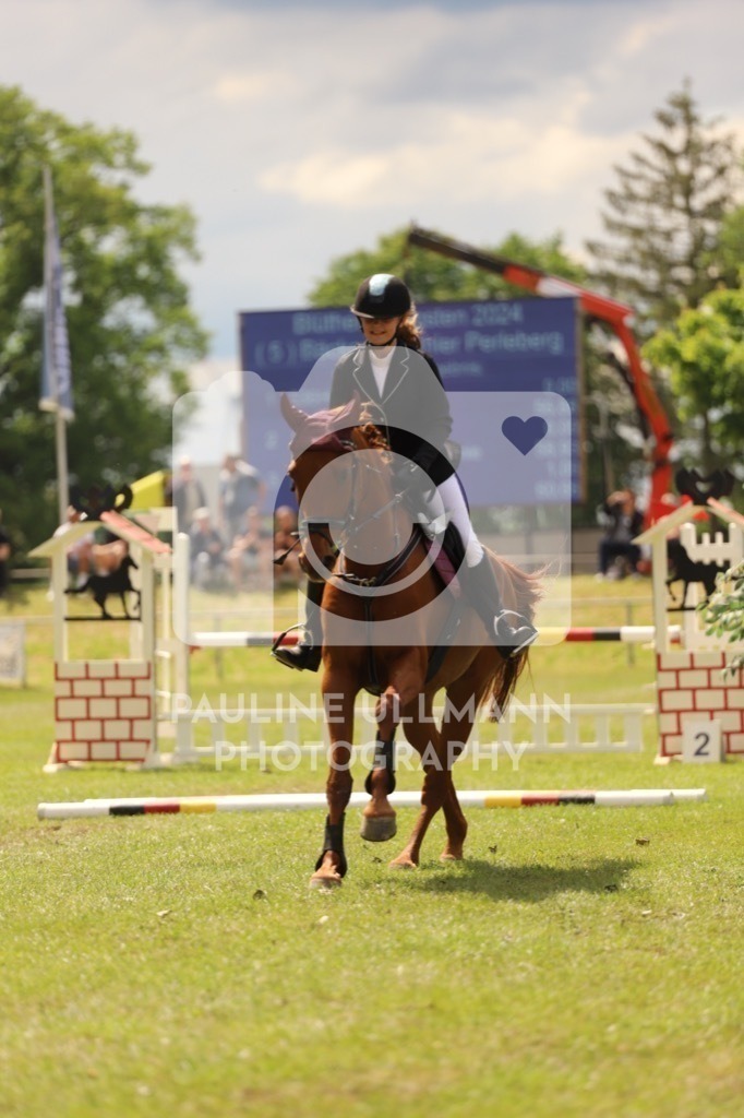 IMG_7551 | Pauline Ullmann Photography - Realisiert mit Pictrs.com