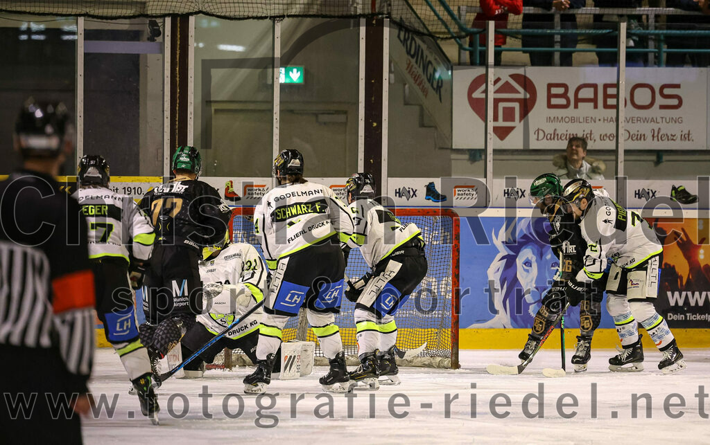 2024-02-23_016_TSV_Erding_gegen_ERSC_Amberg | Erding, Deutschland, 23.02.2024:
Eishockey, Bayernliga Playoffs 2023 / 2024, 3. Spieltag, TSV Erding gegen ERSC Amberg, Endergebnis: 2:3 n. V.

Leon Abstreiter (Erding Gladiators, #72), Torwart Timon Bätge (ERSC Amberg, #31), Felix Schwarz (ERSC Amberg, #14), Michael Trox (Erding Gladiators, #86), Andreas Pielmeier (ERSC Amberg, #72)

Foto: Christian Riedel / fotografie-riedel.net