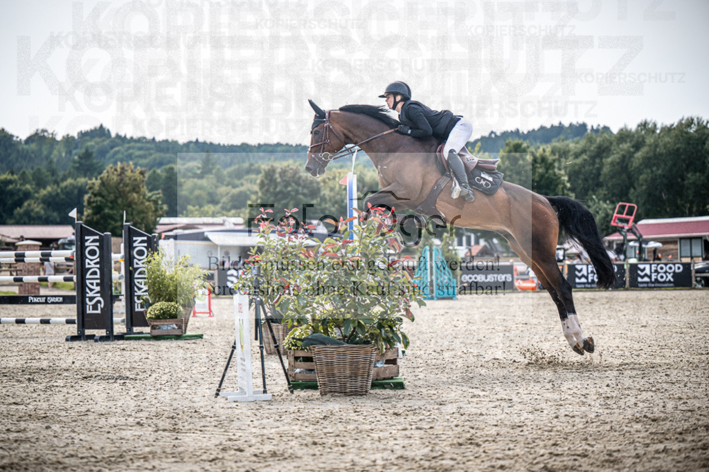 DOS_9804 | Entdecke hochwertige Reitturnierfotos von Foto Oger. Professionell, emotional und authentisch – jetzt Lieblingsmomente im Shop bestellen.Deutschlandweite Turnierfotografie. - Realisiert mit Pictrs.com