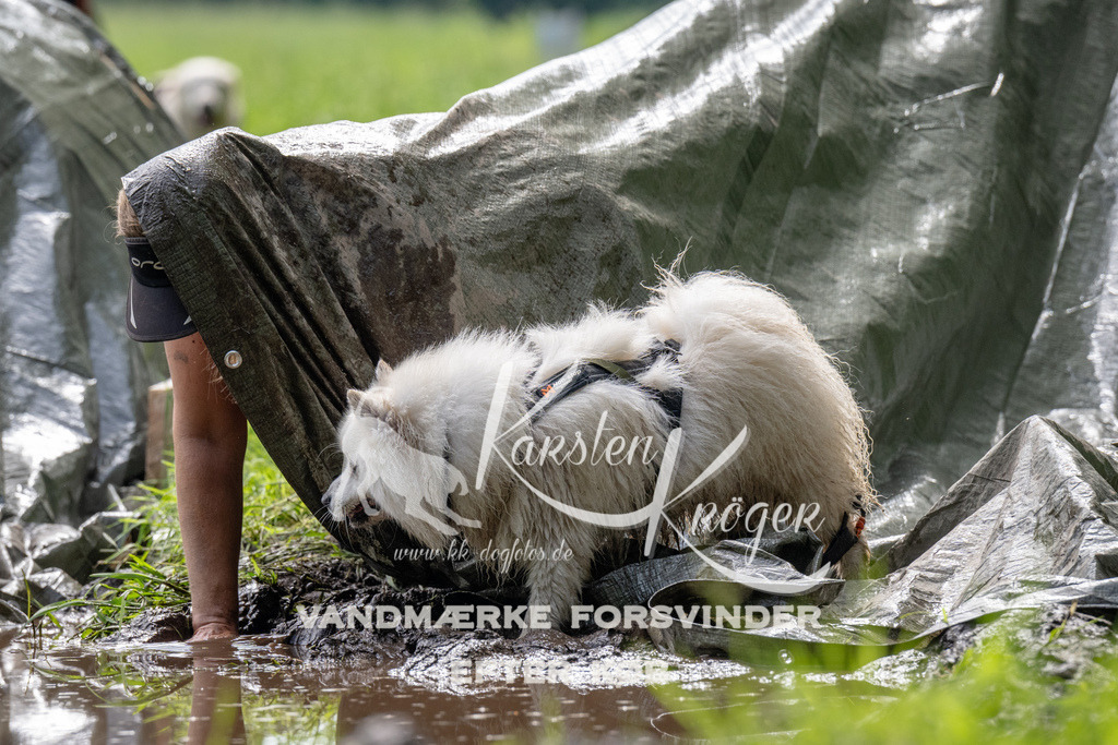 0930_ZZ90914 | kk-dogfotos