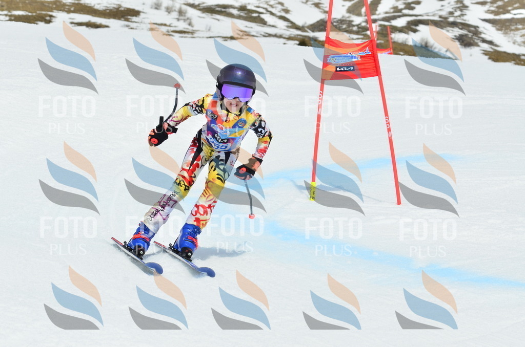 _ELE2938 | holidayphoto