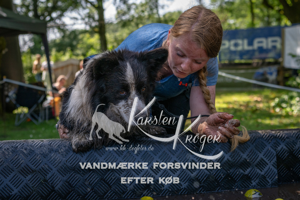 1342_ZZ92025 | kk-dogfotos