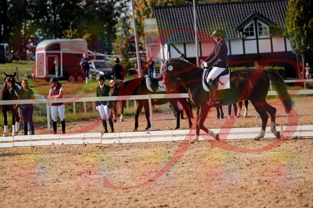 2026_10_03_Siefer-Hof_132130_Z63_82980554 | Professionelle Reitsport-, Turnier- und Eventfotografie von Robert Broda. Galerien mit ausgewählten und bearbeiteten Bildern direkt online ansehen und bestellen.