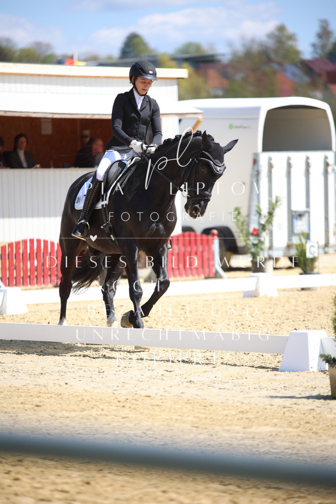 IMGT2641 | pl-fotografie