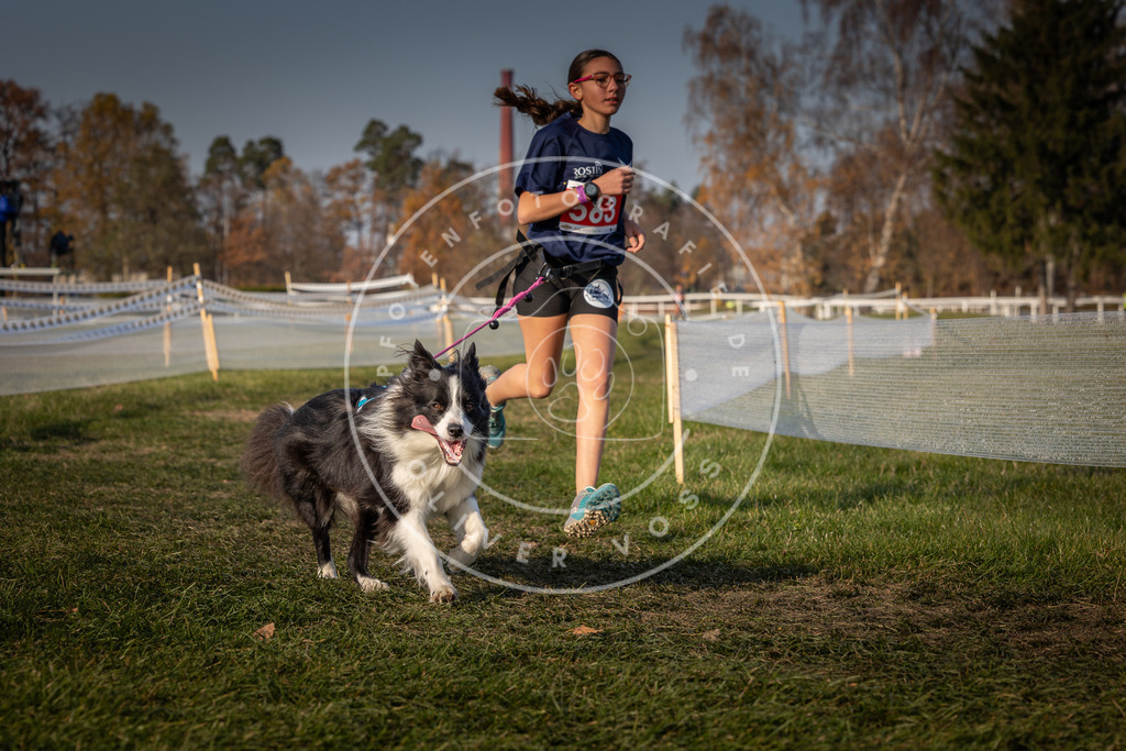 CaniXpix_0L8A9406 | Hundefotografie, Tierfotograf, Pfotenfotografie, Fotoshooting Hund, Hunde Portrait, Hundesport, Hundeportraits, Heideshooting, Hunde, Sportfotograf, Hundefotograf, Turnierhundsport, THS,  - Realisiert mit Pictrs.com