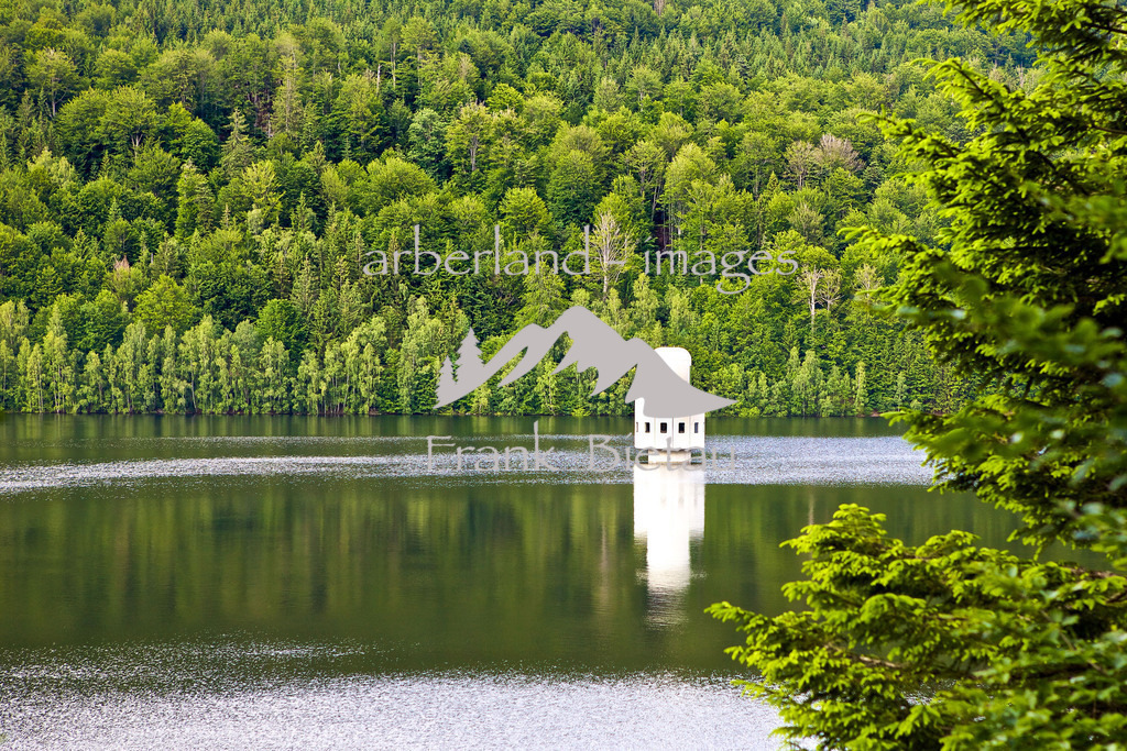 02032016-fb-0958 | Medien- Sport- Entertainmentfotos