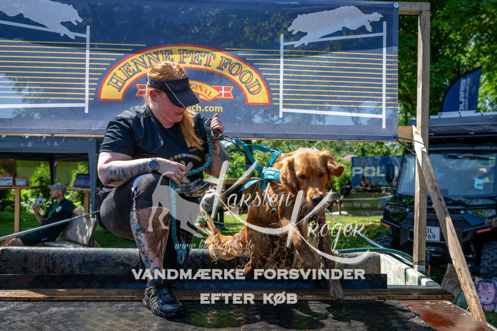 1241_ZZ91692 | kk-dogfotos