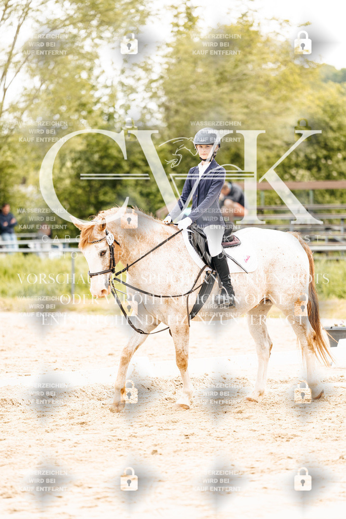 CK904184 | Turnierfotografie Pferdefotografie Trier Rheinland-Pfalz Pferdesport Reitsport Tierfotografie Sportfotografie Pferdevideo Pferdevideografie Equestrianvideography equestrianphotography  - Realisiert mit Pictrs.com