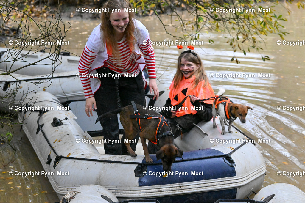 DSC_6982 | Hallo und herzlich Willkommen auf meiner Shop-Seite Fynn Most.

Ich wünsche Dir viel Spaß beim stöbern durch die Bilder, wenn Du Fragen hast oder Bilder vermisst, kannst du mir gerne eine Nachricht schreiben. - Realisiert mit Pictrs.com