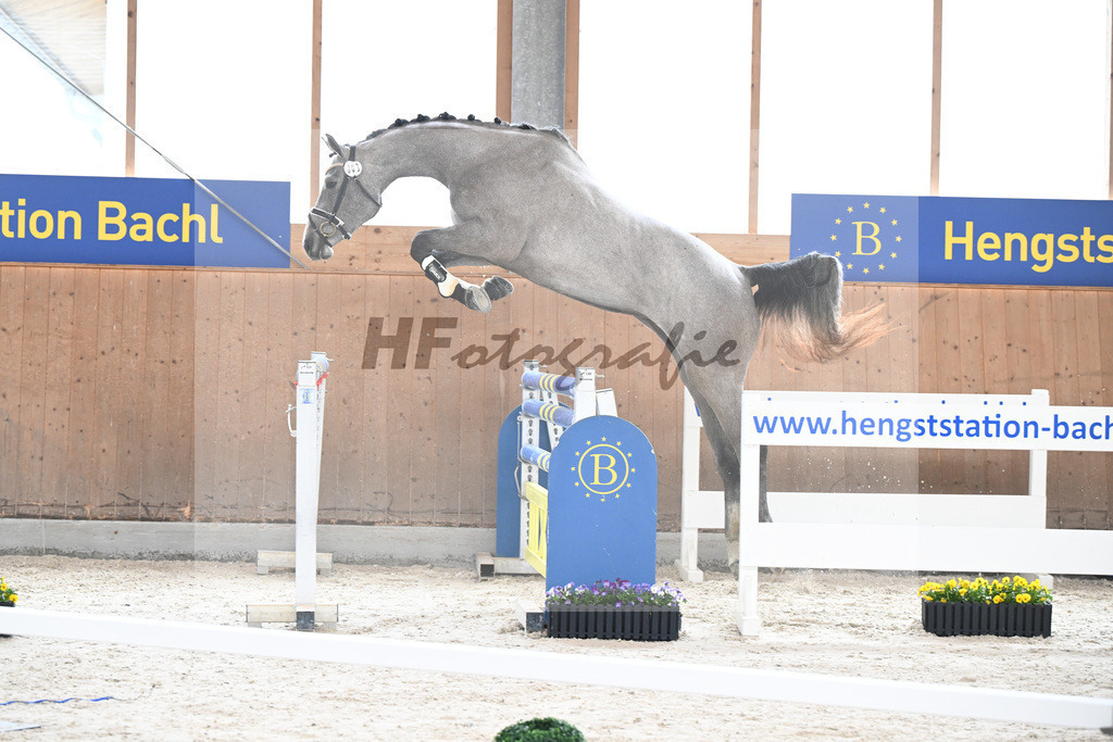 Kat-Nr. 9 nn v. Vingino_Schindele_5250244 | hf-fotografie - Realisiert mit Pictrs.com