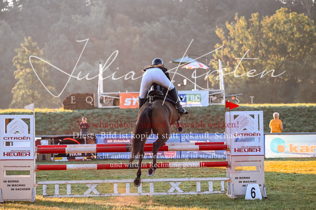 DSC_3721 | Pferde- und Turnierfotografie in Westsachsen. Pferdeportraits, Auftragszeichnungen und intuitive Kunst.