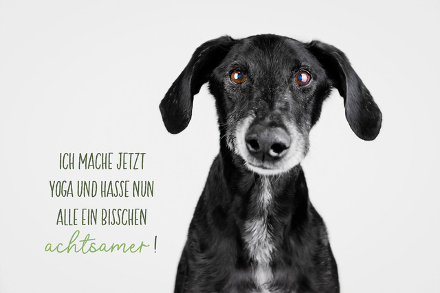 Luke macht jetzt Yoga | "Ich mache jetzt Yoga und hasse nun alle ein bisschen achtsamer!"