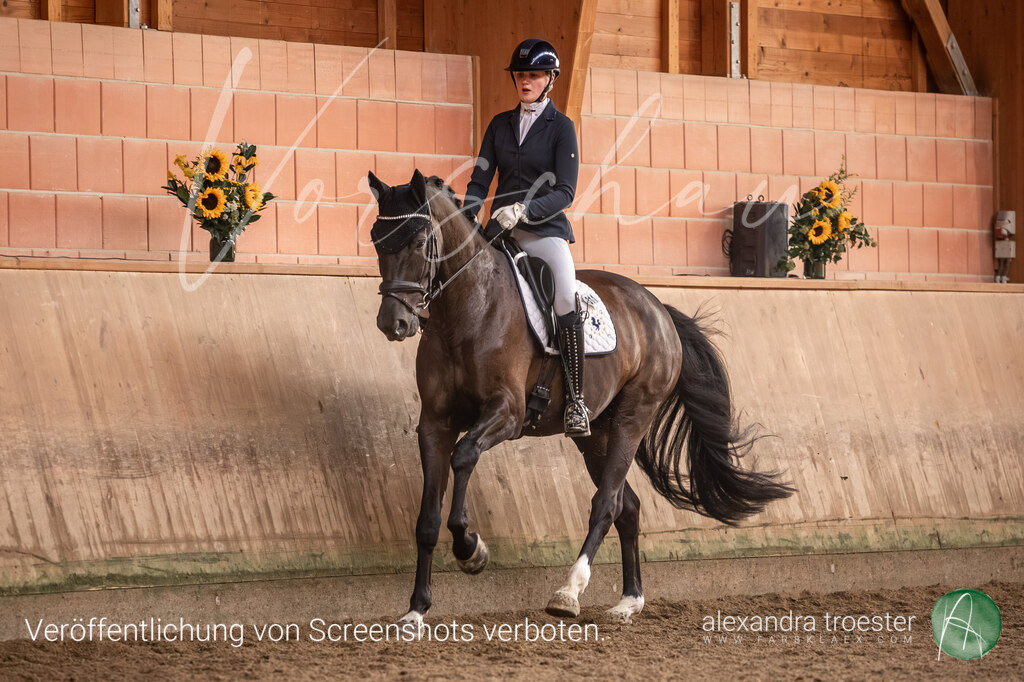 250914_Barop_36_504 | Farbklaex - Turnierfotografie - Realisiert mit Pictrs.com