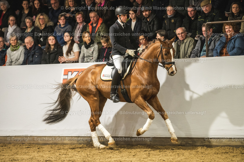 20240302_Hengstvorstellung_Marbach_TOMsPiC_0341-2 | equistock