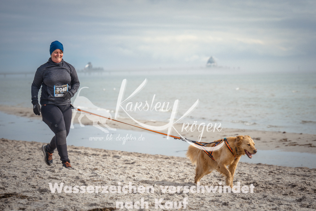 1158_ZZ93181 | kk-dogfotos