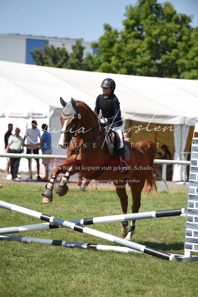 DSC_0089 | Pferde- und Turnierfotografie in Westsachsen. Pferdeportraits, Auftragszeichnungen und intuitive Kunst.