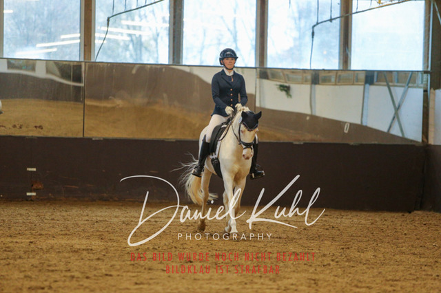 IMG_7997 | Turniersportfotografie; Pferdefotografie; Dressurfotografie