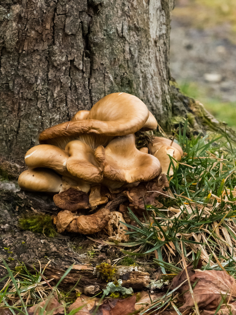 PSX_20230219_222642 | mtkfoto_ - Realisiert mit Pictrs.com