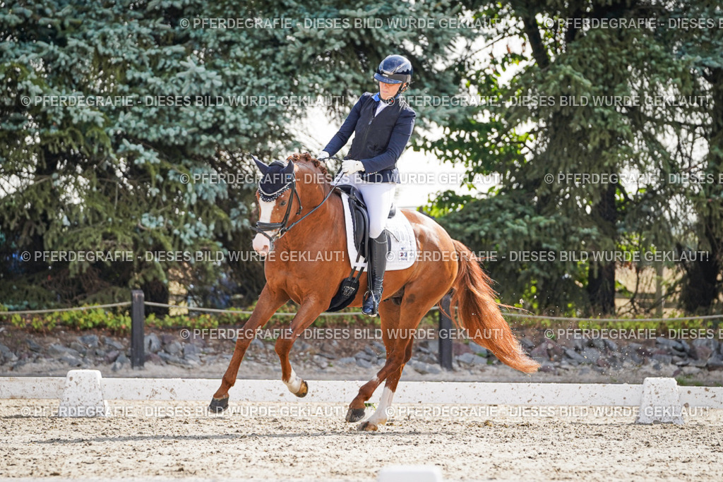 DSC06539 | Pferdegrafie