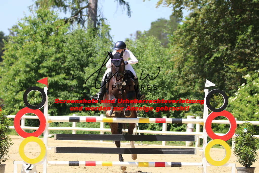 IMG_2417 | lmwpictures - Realisiert mit Pictrs.com