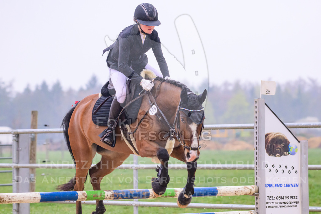 10042026-Mammendorf-Prfg14-0458 | Fokus Hufschlag Fotografie - Realisiert mit Pictrs.com