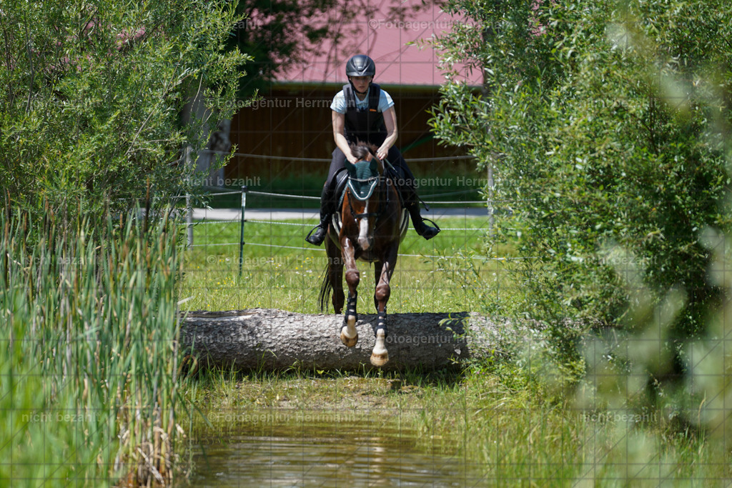20240622-FAH07122 | Turnierfotografen Bayern, Reitsportbilder aus dem Geländekurs mit Felix Etzel auf dem Gut Waitzacker 2024