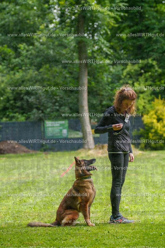 @allesWIRTHgut_Tierfotografie - www.allesWIRTHgut.de - 7R503772 | Professionelle Tierfotografie in Mönchengladbach von Daniel Wirth (allesWIRTHgut). Liebevolle & natürliche Bilder von Hunden & Katzen für unvergessliche Erinnerungen.
