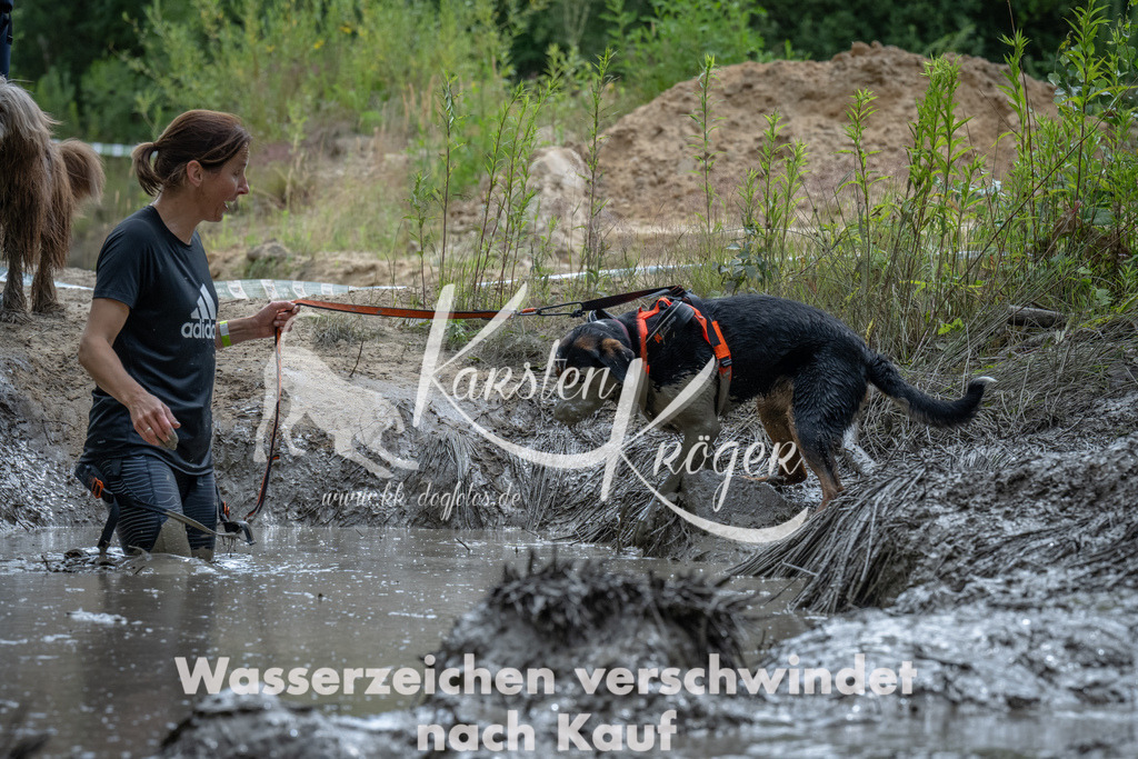1421_ZZ92401 | kk-dogfotos