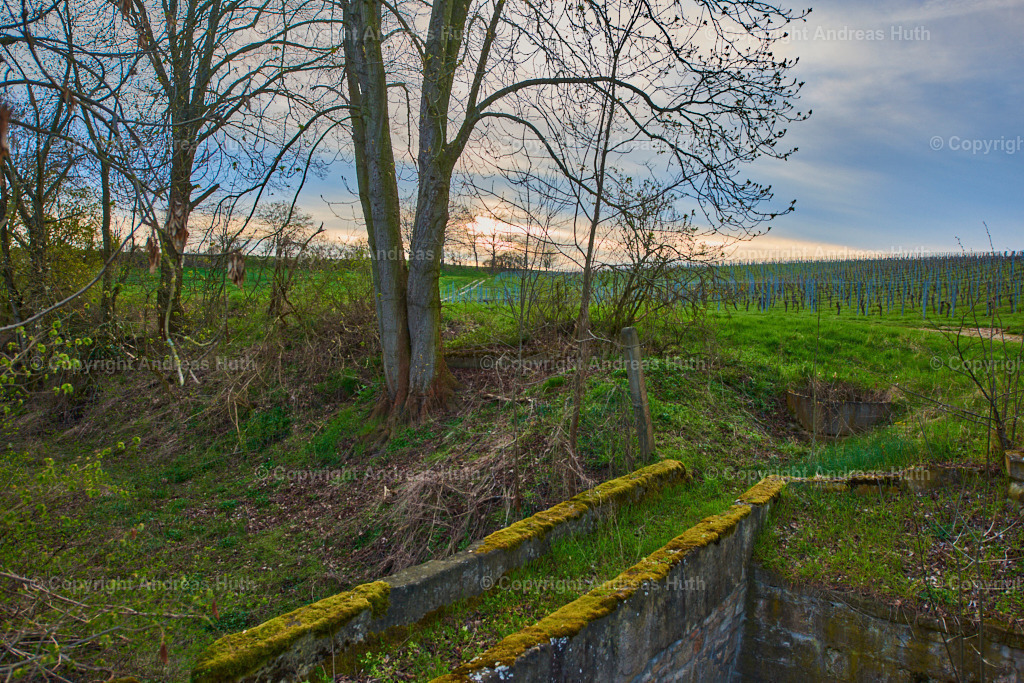 Der historische Weinhang bei Salsitz 01 | Bedeutsame Landschaften Deutschlands - Realisiert mit Pictrs.com