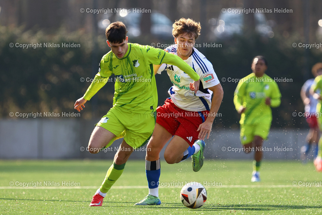 NH_HamburgerSVU19_TSG1899HoffenheimU19_U19DFBNachwuchsliga_09032025 | #17 Niklas Benedikt Tuppeck (Hamburger SV U19), #4 Luca Erlein (TSG 1899 Hoffenheim U19)Fußball I Junioren I U19 DFB-Nachwuchsliga I Saison 2024-2025 I Hauptrunde Liga A, Gruppe C, 6. Spieltag I Hamburger SV U19 - TSG 1899 Hoffenheim U19 I 09.03.2025 I Alexander-Otto-Akademie