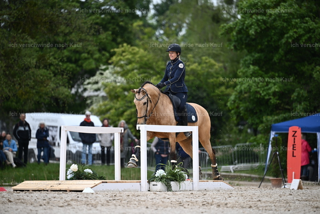 PI26_SP_Sara_Landvogt_226_4808.JPG | working equitationturnier fotograf videograf stoibphotography marixx film working equitation deutschland reitsport turnierfotografie eventfotografie equestrian events