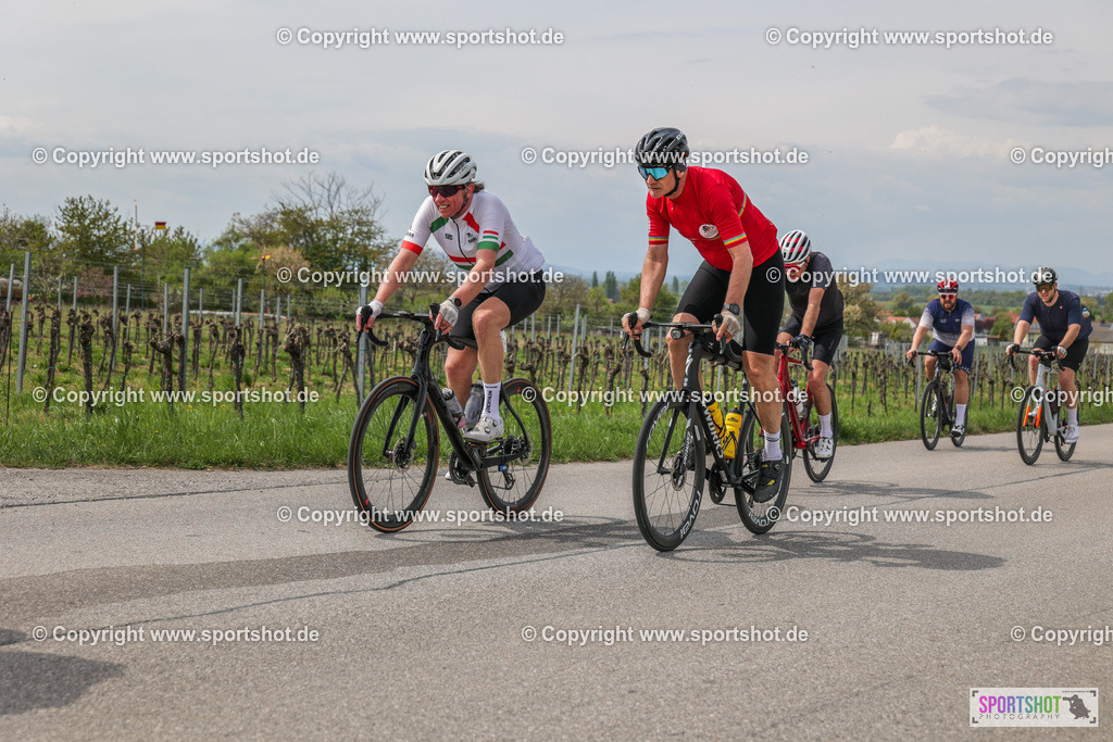 6R3A1373 | Neusiedlersee Radmarathon #neusiedlerseeradmarathon #neusiedlersee #nrm26 #yourpictrs #sportshot_your_pictrs