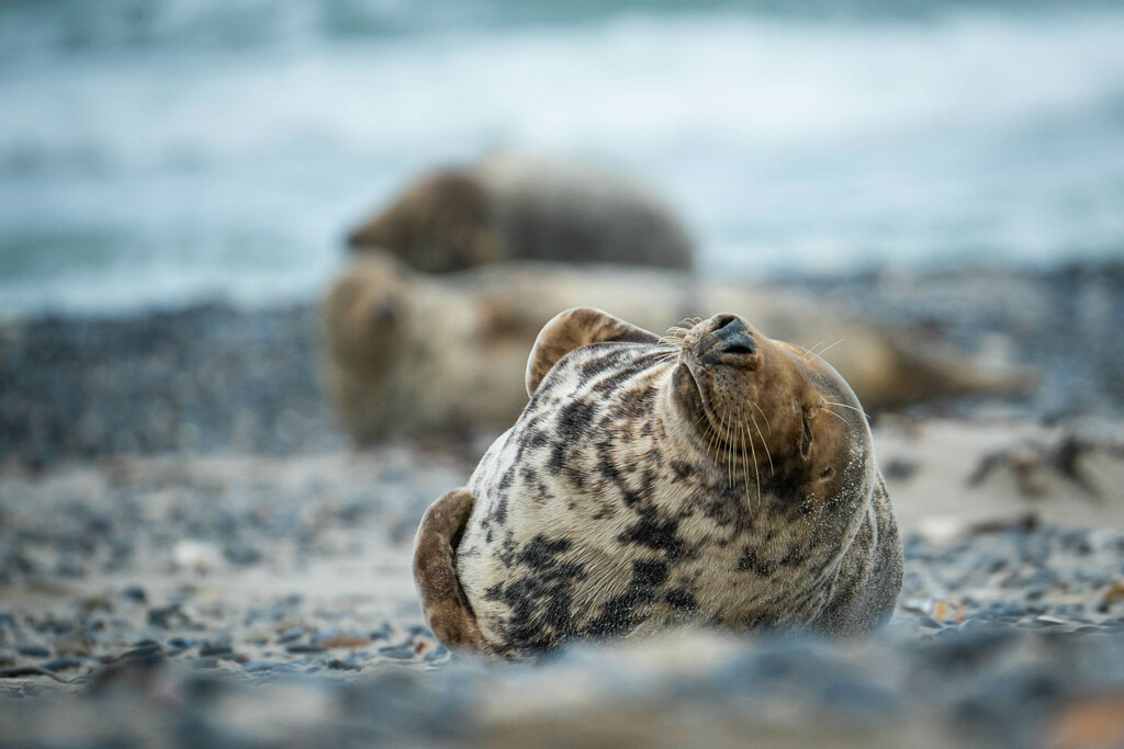 F0CD636B-7B33-45A1-9EF7-8DDDD646BFDB | <meta name="keywords" content="Bergbilder, Hochzeitsfotografie, Actionshootings, Fotografiearbeiten, Berglandschaften, Naturfotografie">

 - Realisiert mit Pictrs.com