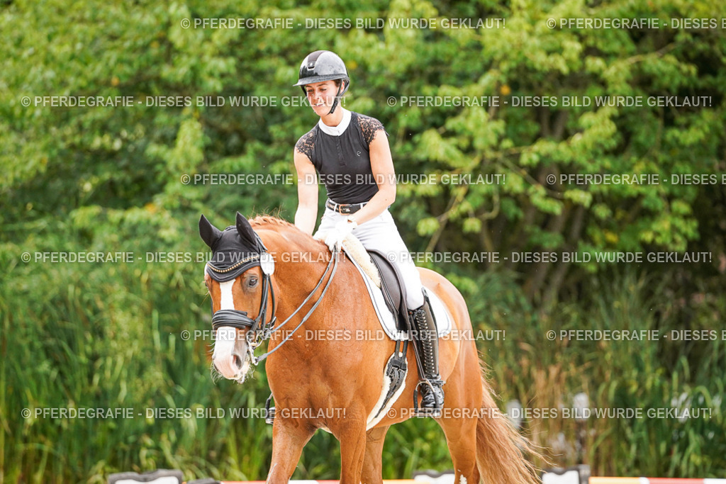 DSC08023 | Pferdegrafie