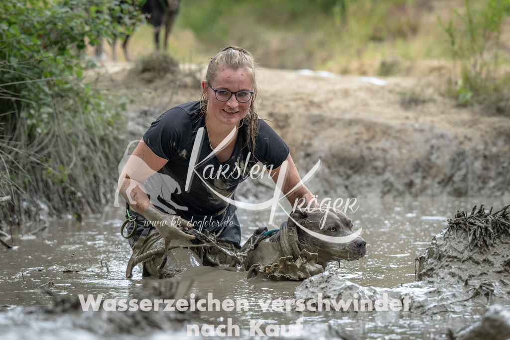 1447_ZZ90379 | kk-dogfotos