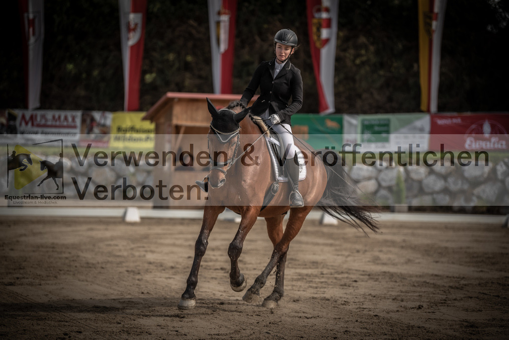 DSC_8554 | equestrian-live-com