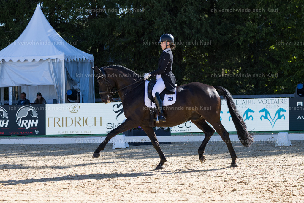 FHC2026_P07_9_17445 | working equitationturnier fotograf videograf stoibphotography marixx film working equitation deutschland reitsport turnierfotografie eventfotografie equestrian events