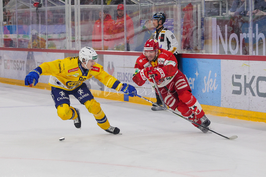 2J4A0125_2EHCB vs HCD_wb | Sportbilder, Sportfotograf, Hochzeits- und Eventfotografin, Flugshows, Portraits und Tiershooting, Aviation, Downhill, Nationalleague, Swissleague, International