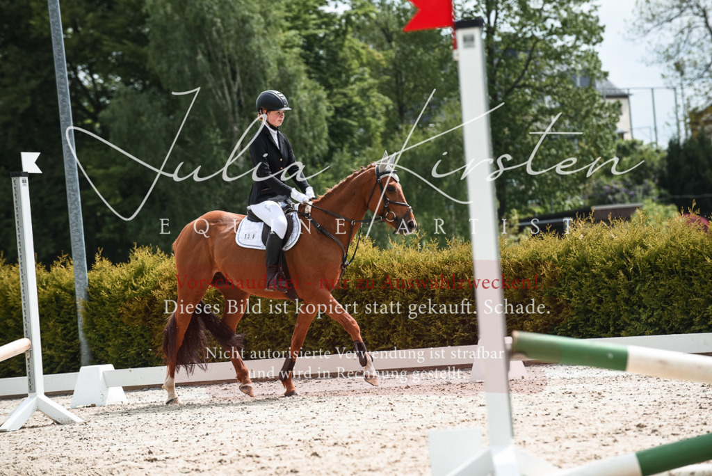 20230518_JK-Röhrsdorf-10-106 | Pferde- und Turnierfotografie in Westsachsen. Pferdeportraits, Auftragszeichnungen und intuitive Kunst.