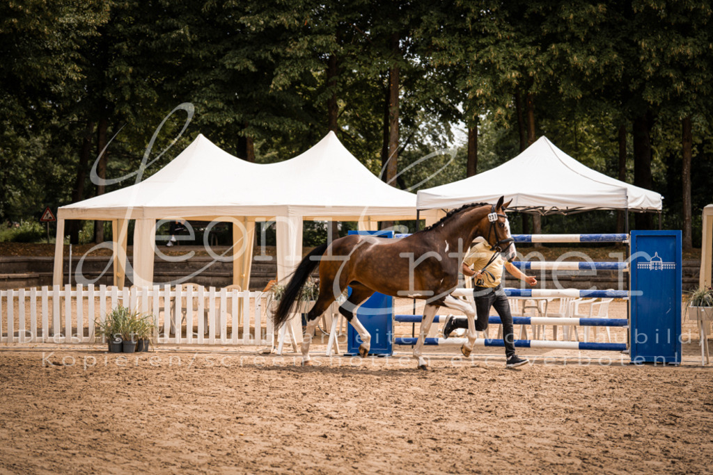 3.Fr00182 | Leoni Ertmer Photography - Realisiert mit Pictrs.com