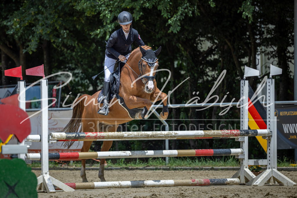 20260704-_3LI9012 | Tierfotografie Pferde, Hunde, Katzen, Haustiere.
Turnierfotografie Reitturniere, Reiten, Springreiten, Dressur in Hanau, dem Main-Kinzig-Kreis und dem Rhein-Main- Gebiet um Frankfurt