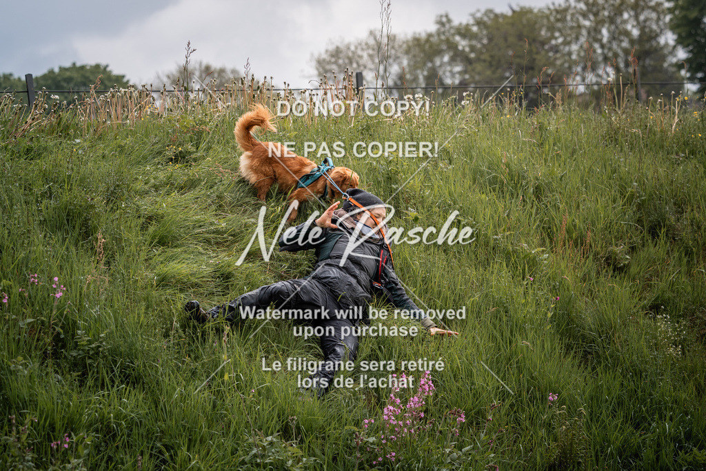 nelerasche_SoZieleinlauf_19 | nelerasche