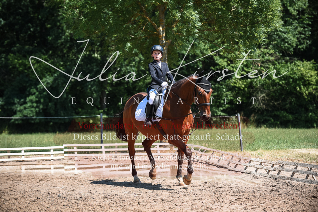 DSC_3013 | Pferde- und Turnierfotografie in Westsachsen. Pferdeportraits, Auftragszeichnungen und intuitive Kunst.