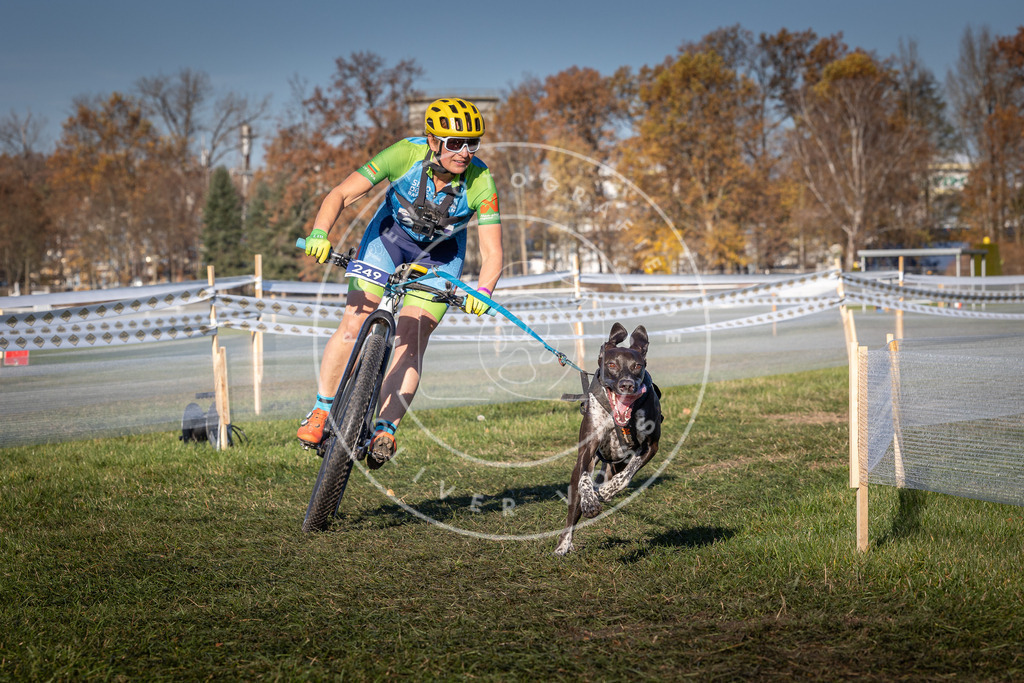 CaniXpix_0L8A4905 | Hundefotografie, Tierfotograf, Pfotenfotografie, Fotoshooting Hund, Hunde Portrait, Hundesport, Hundeportraits, Heideshooting, Hunde, Sportfotograf, Hundefotograf, Turnierhundsport, THS,  - Realisiert mit Pictrs.com
